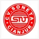 Soneta