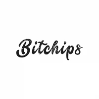 Bitchips