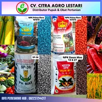 Citra Agro Lestari