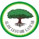 Alam Lestari Lancar