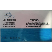Indofish