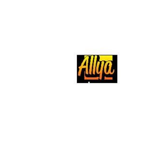 Allya Chemicals Shop