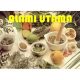 Alami Utama