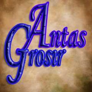 Antas Grosir
