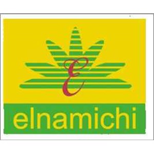 Elnamichi CV