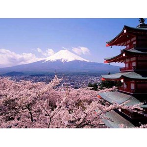 Paket Tour Korea Murah Tour Travel Jakarta
