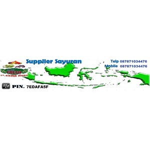 Supplier Sayur Sayuran