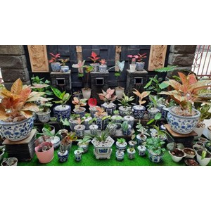 Bule Garden