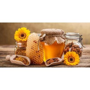 CV. Toraya Inti Persada( Toko Herbal Alat Kesehatan & Kecantikan