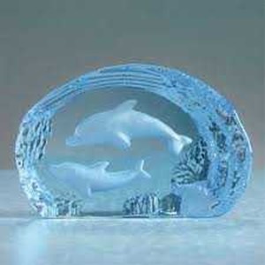 Lophe Dolphin