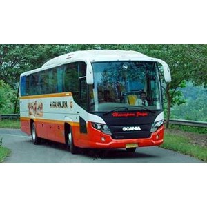 Po Harapan Jaya Tour & Travel