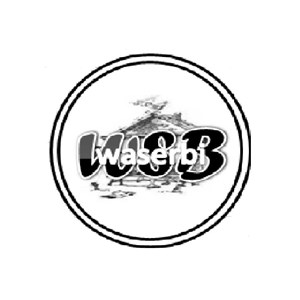 Waserbi