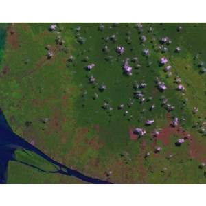 Alifa Global Mapper & Survey