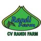 CV Randi Farm