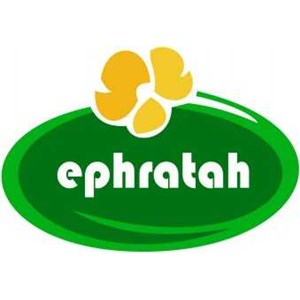 Ephratah Tour Dan Travel