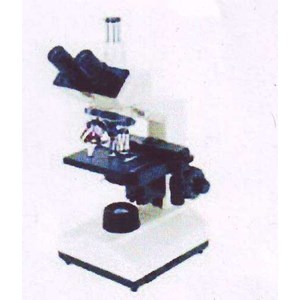 Mitra Labindo