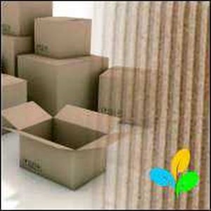 P2P Karton Box