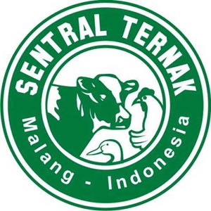 Sentralternak