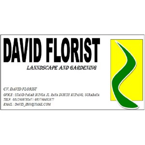 Tukang Taman Surabaya Dafid Florist Consultant And Contractor Landscape
