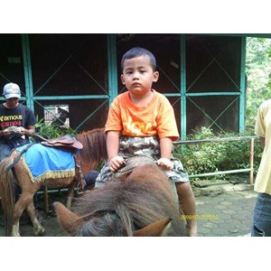 UD Adi Wisesa