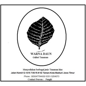 Warna Daun