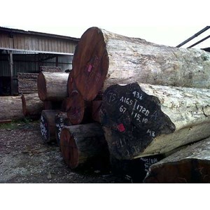 CV. Bintang Baru