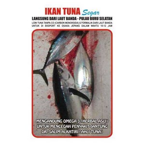 Koperasi Nelayan 45