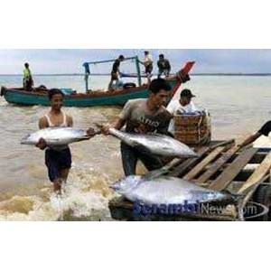 PT Putra Morotai Makmur