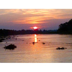 Yayasan Ekowisata Rokan Hilir ( Wisata Alam Pulau Tilan