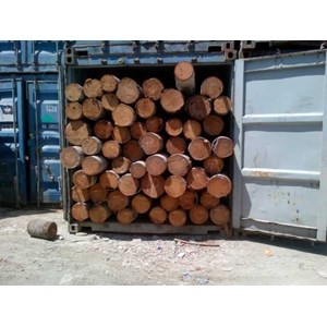 Supplier Kayu Kelapa Sulawesi & Jati Super ( Daun Lebar) Surya Perkasa Abadi