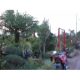 Taman Ary Gasebo