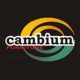 Cambium Furniture