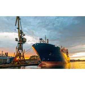 Catleinternational.ltd