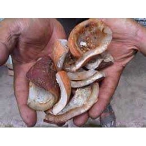 CV. Kopra Kita